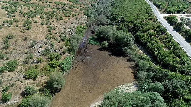Kırklareli'nde aşırı sıcaklar Teke Deresi'ni susuz bıraktı
