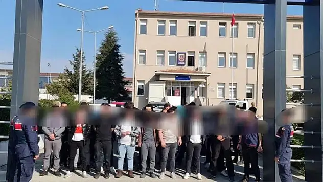 Kırklareli'nde köpek dövüştüren 34 kişiye 214 bin lira ceza
