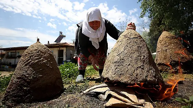 Kırklareli'nde arıcıların 'oğul alma' mesaisi başladı