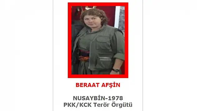 Kırmızı kategoride aranan terörist MİT'in operasyonuyla etkisiz hale getirildi