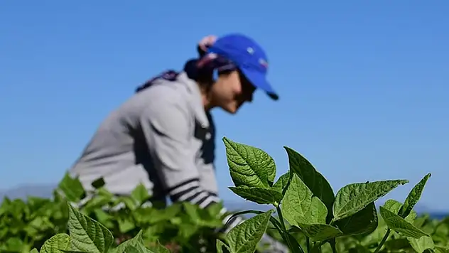 Kırsal kalkınma destekleri için başvurular 21 Nisan'a kadar devam edecek