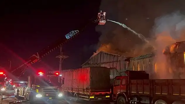 Kocaeli'de palet deposunda yangın çıktı
