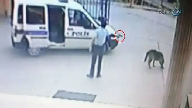 Komiser yardımcısı, karakol bahçesinde silahı ile köpek vurdu