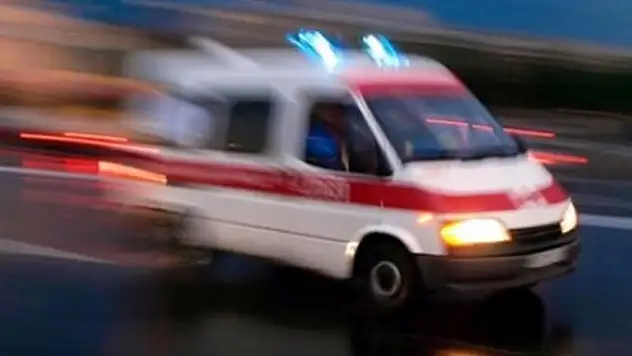 Komşuların köpek kavgası: 2 ölü, 2 yaralı
