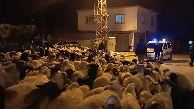 Konar göçerler 10 günlük zorlu göçün ardından Kozan merkeze ulaştı