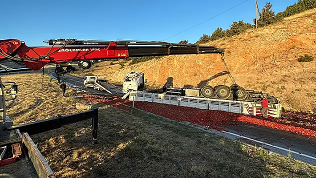Kontrolden çıkan domates yüklü tır yol ortasına devrildi
