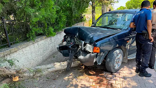 Kontrolden çıkan pikap ağaca çarptı: 2 yaralı