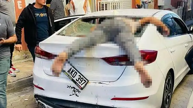 Kontrolünü kaybeden bisiklet sürücüsü otomobilin arka camına saplandı! 