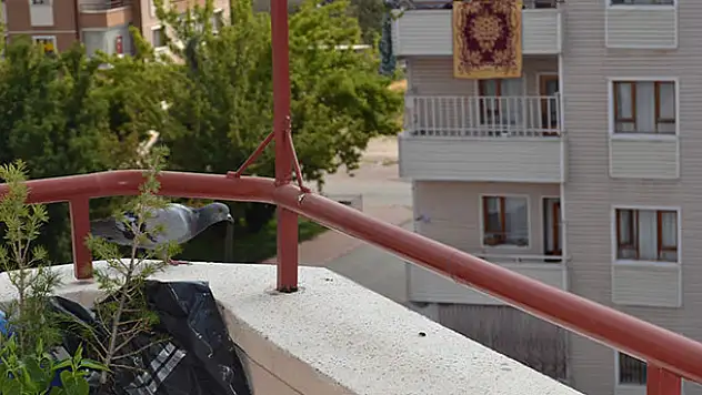 Konya...Balkona yumurtlayan güvercine aile bireyleri gibi sahip çıktılar