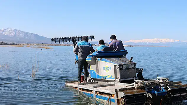 Konya Beyşehir'de sinekle mücadele çalışmaları başladı