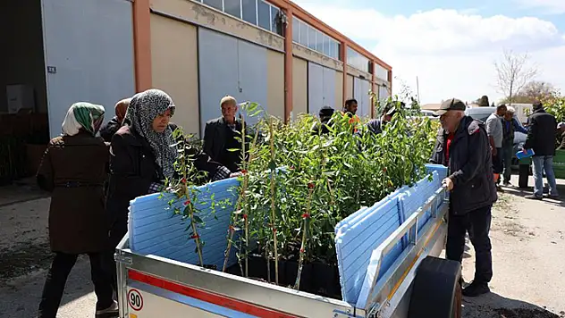 Konya Büyükşehir 31 ilçede ürün çeşitliliğini artırmak için çiftçiye destek oluyor
