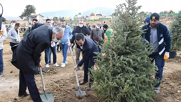 Konya Büyükşehir Belediyesi 5 bin fidanı toprakla buluşturdu
