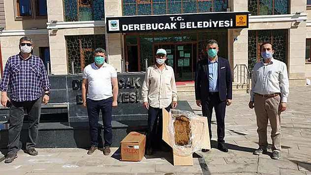 Konya Büyükşehir Belediyesi'nden Derebucak'a çilek fidesi desteği