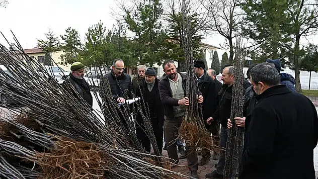 Konya Büyükşehir'den çiftçiye destek! Başkan Altay: Bu yıl 115 bin fidanı çiftçilerimizle buluşturacağız
