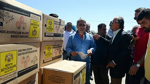 Konya Büyükşehir'den çilek üreticisine destek