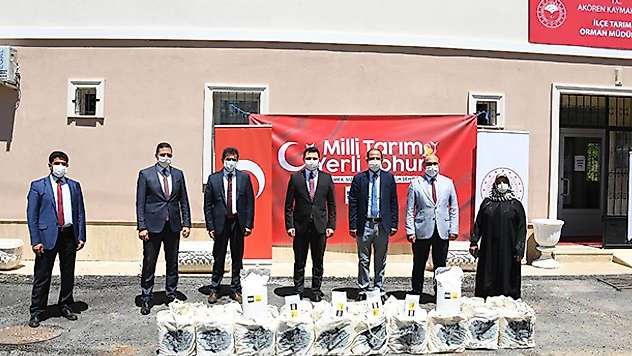 Konya Büyükşehir'den üreticiye yerli susam tohumu desteği