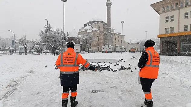 Konya Büyükşehir doğadaki sahipsiz hayvanlara yem bırakıyor
