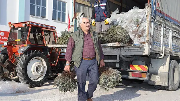 Konya Büyükşehir üreticiye lavanta desteğini sürdürüyor
