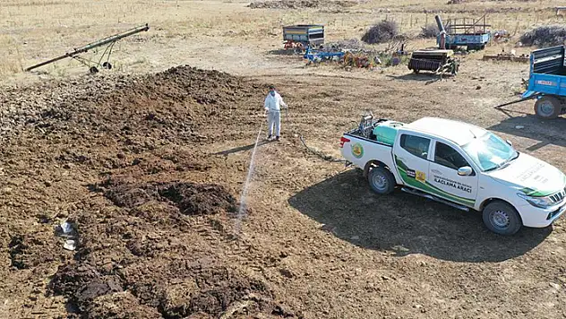 Konya Büyükşehir'in haşereyle etkin mücadelesi sürüyor
