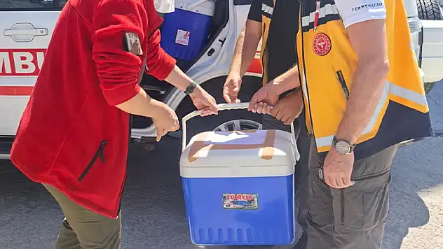Konya'da 1 yaşındaki bebeğin organları 4 hastaya umut oldu

