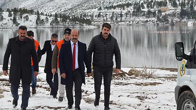 Konya'da 13 flamingo soğuktan öldü