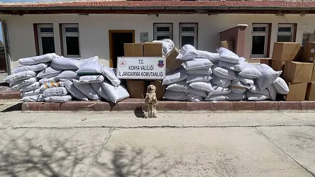Konya'da 14 ton 741 kilogram kıyılmış bandrolsüz tütün ele geçirildi
