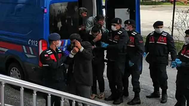 Konya'da 15 büyükbaş hayvanı çaldıkları iddiasıyla yakalanan 7 şüpheli tutuklandı