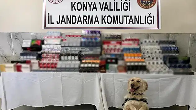 Konya'da 2 bin 763 paket kaçak sigara ele geçirildi
