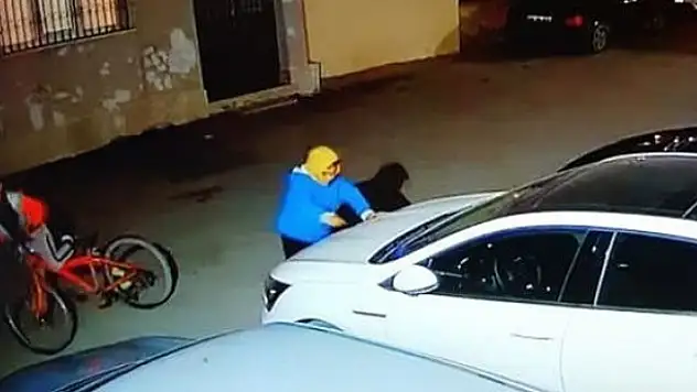 Konya'da 2 çocuk 25 arabayı çizdi