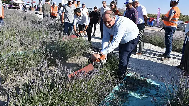 Konya'da 2. Karapınar Lavanta Festivali düzenlendi
