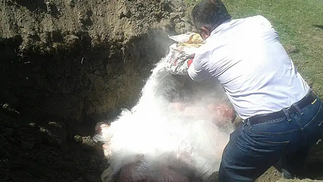 Konya'da 200 kilo kaçak tavuk eti imha edildi