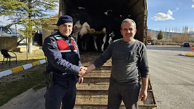 Konya'da 300 bin lira değerinde 4 büyükbaş hayvan çaldığı iddia edilen şüpheli tutuklandı
