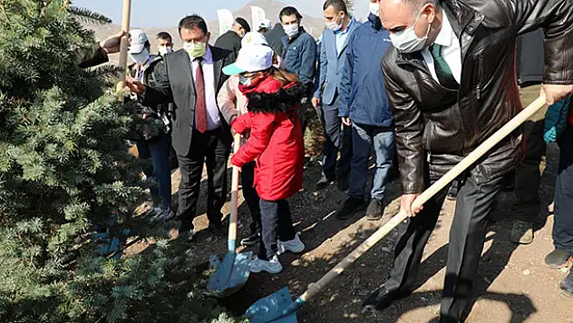 Konya'da 310 bin karaçam fidanı dikildi
