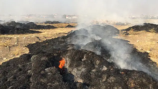 Konya'da 5 bin saman balyası yandı