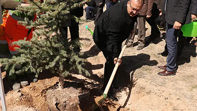 Konya'da 5 milyon fidan toprakla buluşacak