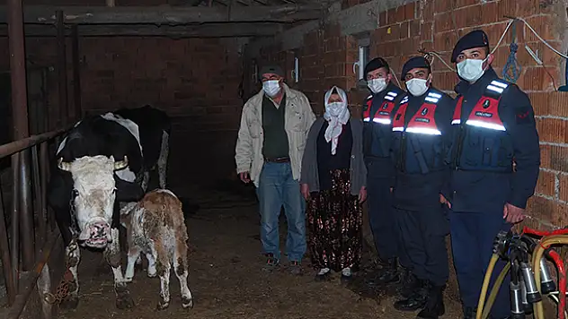 Konya'da 6 büyükbaş hayvanı çaldığı ileri sürülen 4 şüpheli yakalandı