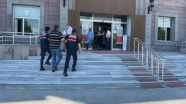 Konya'da 69 kök Hint keneviri ve esrar ele geçirildi