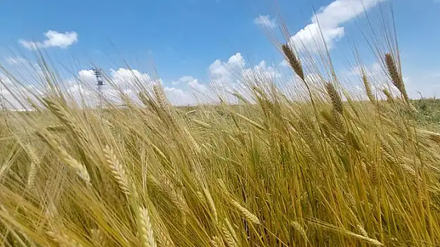 Konya'da 7 yıldır süren Sürdürülebilir Arazi Yönetimi ve İklim Dostu Tarım Projesi sona erdi
