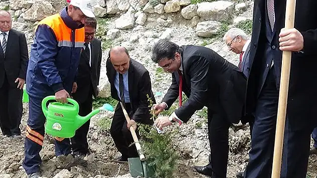 Konya'da 75 bin fidan dikildi