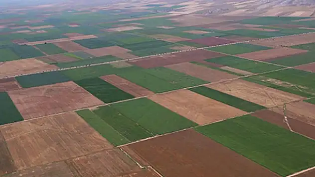 Konya'da 857 bin 90 dekar arazi toplulaştırıldı
