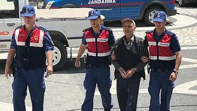 Konya'da 980 kök Hint keneviri ele geçirildi