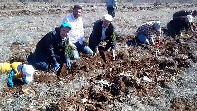 Konya'da ağaç dikme kampanyası