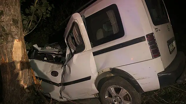 Konya'da ağaca çarpan kamyonetin sürücüsü öldü
