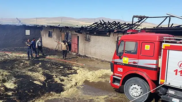 Konya'da ağılda çıkan yangında 38 küçükbaş hayvan telef oldu
