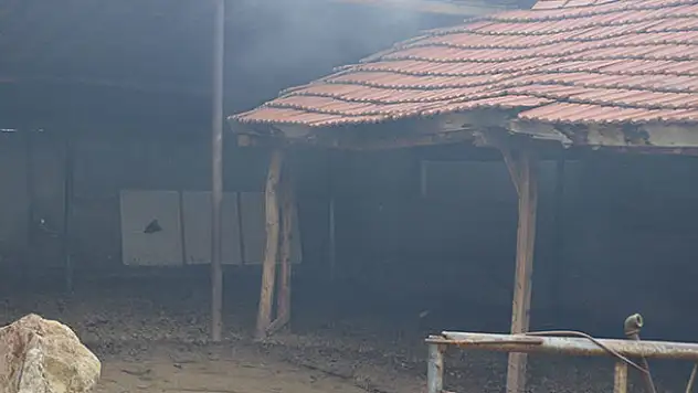 Konya'da ahırda çıkan yangında 3 büyükbaş telef oldu