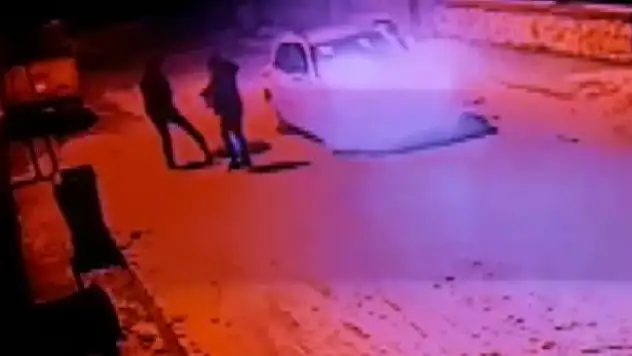 Konya'da akılalmaz canilik! Köpeği vurduktan sonra tekmeleyip çöpe attılar