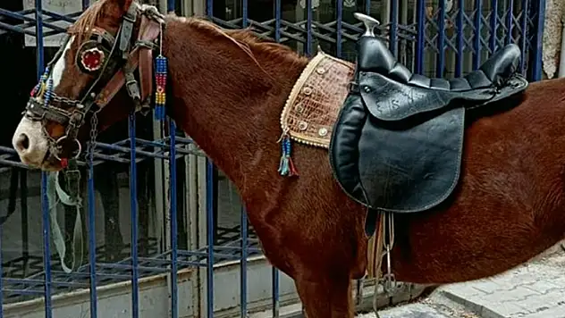 Konya'da alkollü olarak  caddede ata binen kişiye 10 bin 111 lira ceza
