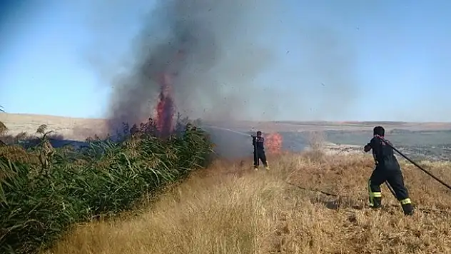 Konya'da Anız ve Sazlık Alan Yangını