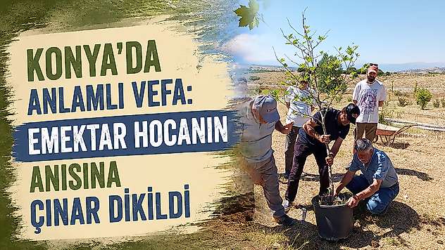 Konya'da anlamlı vefa: Emektar hocanın anısına çınar dikildi