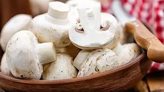 Konya'da anne ve 10 yaşındaki kızı, yedikleri mantardan zehirlendi
